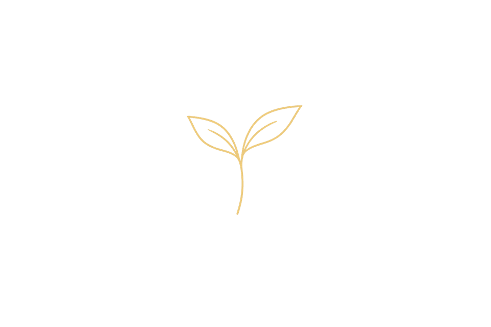 Golden sprout on a transparent background
