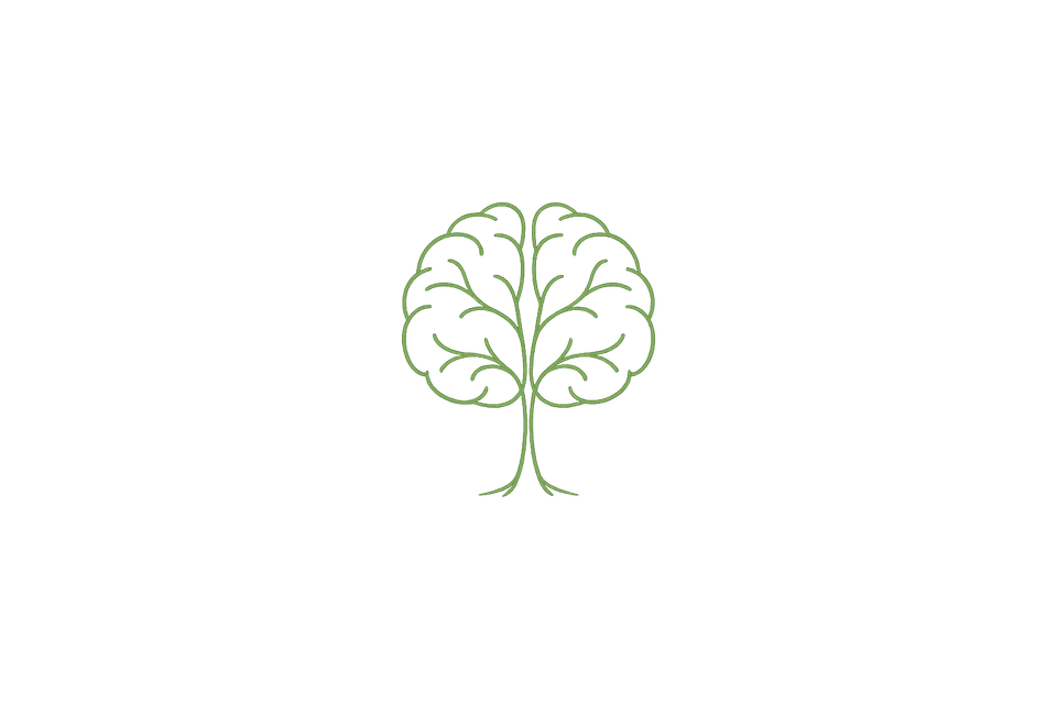 Nervous system and brain illustration